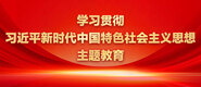 操死逼学习贯彻习近平新时代中国特色社会主义思想主题教育_fororder_ad-371X160(2)